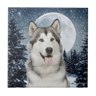 Winter Moon Husky Keramik Tile Fliese