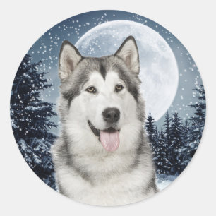 Winter Moon Husky Sticker