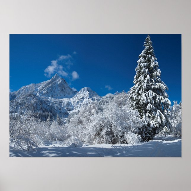 Winter Mountain Wonderland Poster (Vorne)