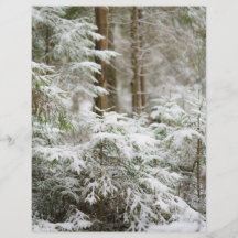 Winter-Natur-Weihnachts-Scrapbook-Hintergrundpapie