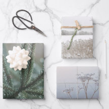 Winter nature, set of 3 different art photos