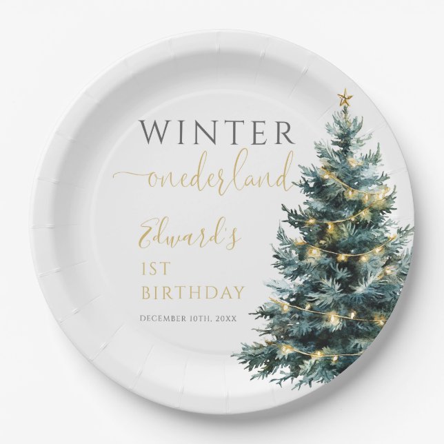 Winter Onederland 1. Geburtstag Party Pappteller (Vorderseite)