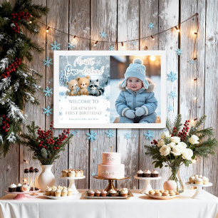 Winter Onederland Blau Erstes Foto Willkommensschi Poster