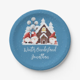 Winter Onederland Erster Geburtstag Niedliche Gnom Pappteller