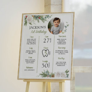 Winter Onederland Geburtstag Foto Milestone Poster