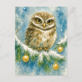 Winter Owl on Snowy Branch Christmas Postcard Feiertagspostkarte