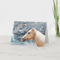 Winter-Palomino-Pferd