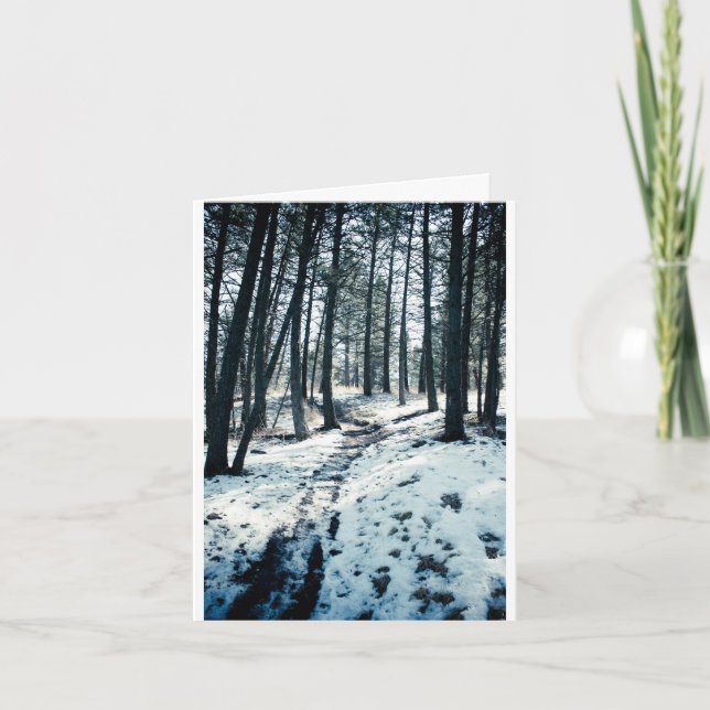 Winter Path Christmas card Feiertagskarte (Vorderseite)