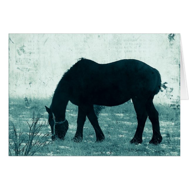 Winter Percheron (Vorderseite (Horizontal))