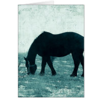 Winter Percheron