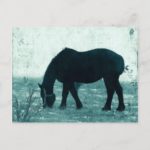 Winter Percheron Postkarte