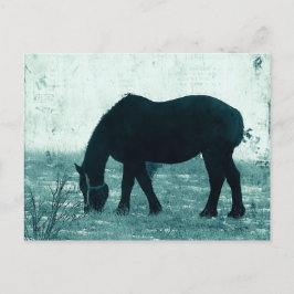 Winter Percheron Postkarte