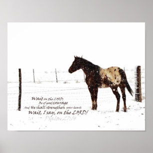 Winter-Pferde-u. Lech-Plakat der Schrifts-11x14 Poster