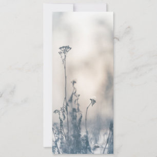 Winter Pflanze Naturerlebnis Foto Karte