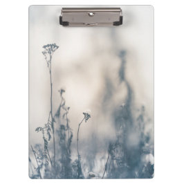 Winter Pflanze Naturerlebnis Foto Klemmbrett