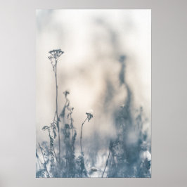Winter Pflanze Naturerlebnis Foto Poster