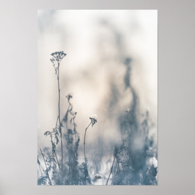Winter Pflanze Naturerlebnis Foto Poster (Vorne)