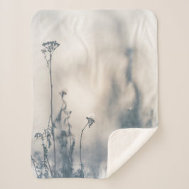 Winter Pflanze Naturerlebnis Foto Sherpadecke