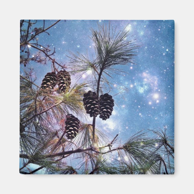 Winter Pine Cones unter einem Sternenhimmel Magnet (Vorne)