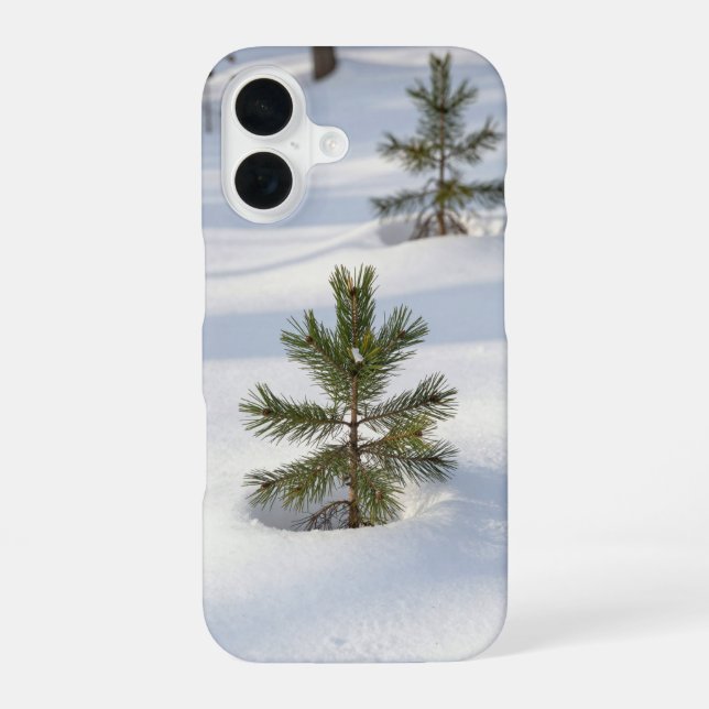 Winter Pine Saplings Deep Snow Phone Case iPhone 16 Hülle (Rückseite)