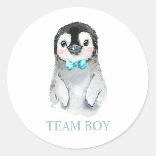 Winter Pinguin Team BOY Gender Reveal Game Label Runder Aufkleber