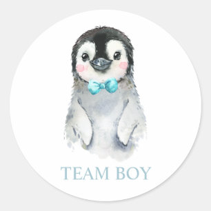Winter Pinguin Team BOY Gender Reveal Game Label Runder Aufkleber