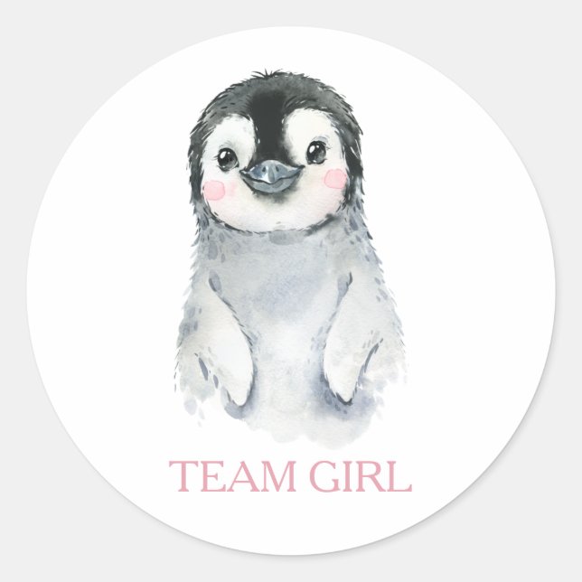Winter Pinguin Team Girl Gender Reveal Game Label Runder Aufkleber (Vorderseite)