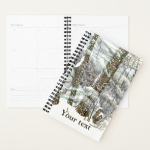 Winter Planer