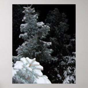 Winter Poster