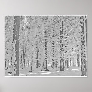 Winter Poster