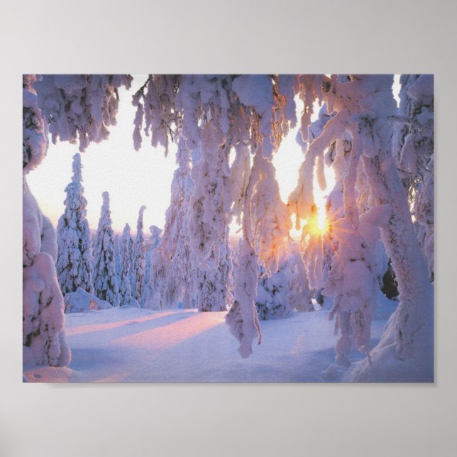 Winter Poster (Vorne)