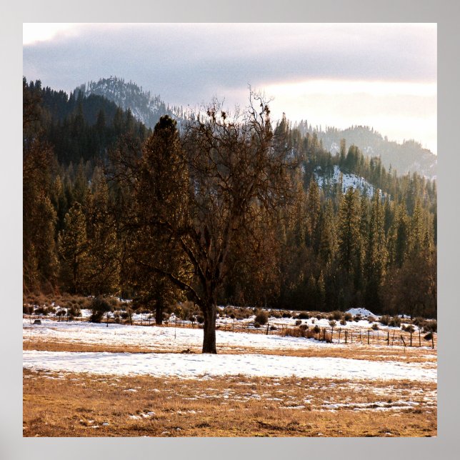 Winter....... Poster (Vorne)