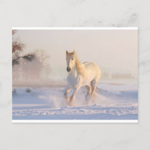 Winter, Postkarte