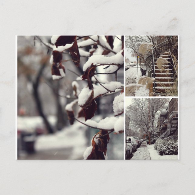 Winter Postkarte (Vorderseite)