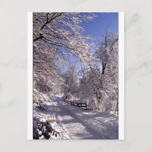 Winter Postkarte