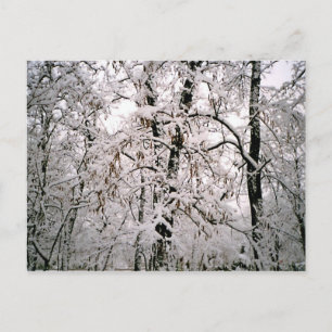 Winter Postkarte