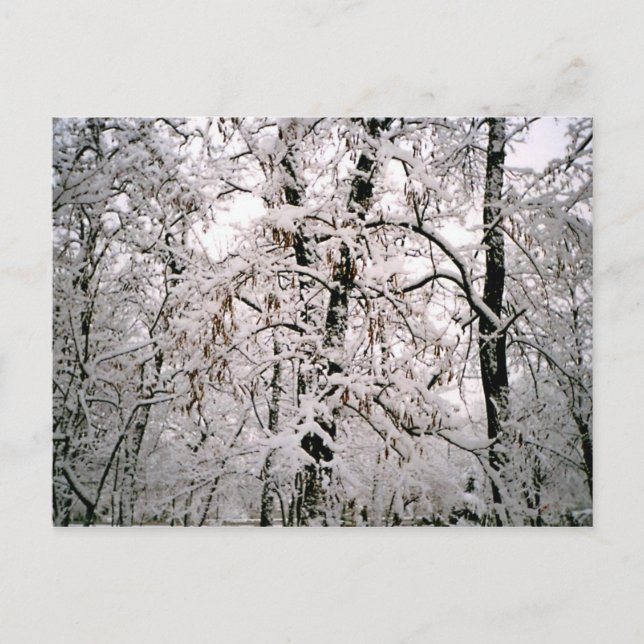 Winter Postkarte (Vorderseite)