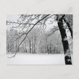 Winter Postkarte