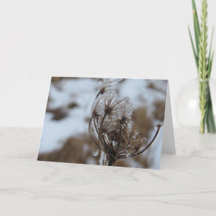 Winter Queen Anne's Lace Karte