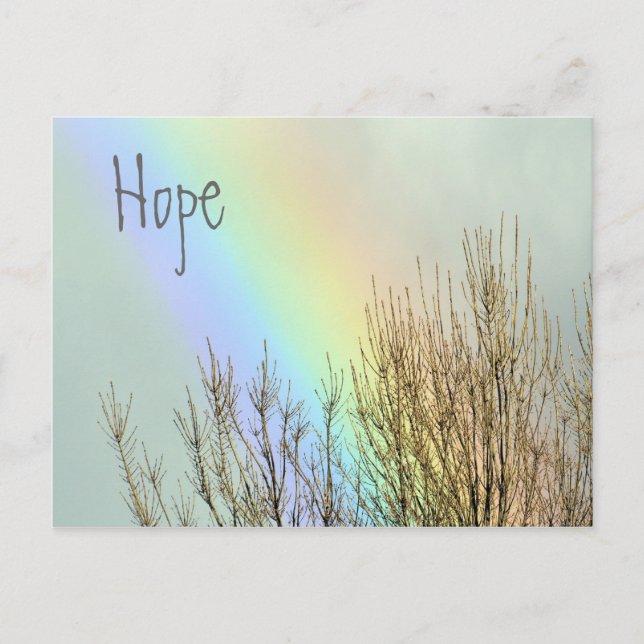 Winter Rainbow Hope Postkarte (Vorderseite)