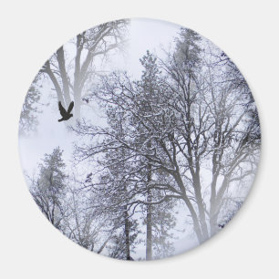 Winter Raven... Magnet