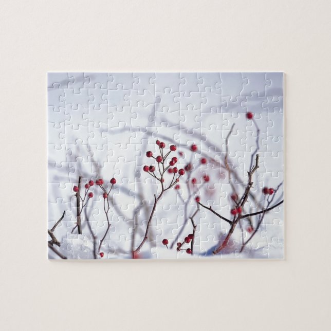 Winter Red Berries White Snow Puzzle (Horizontal)
