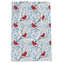 Winter Red Kardinal Bird