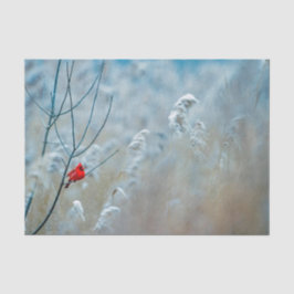Winter Red Kardinal Snow Foto Seidenpapier