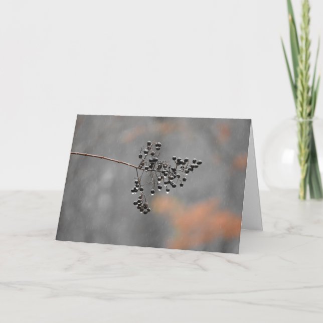 Winter-Regen, Karte (Vorderseite)