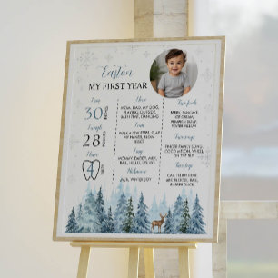 Winter Rentier Geburtstag Foto Milestone Poster