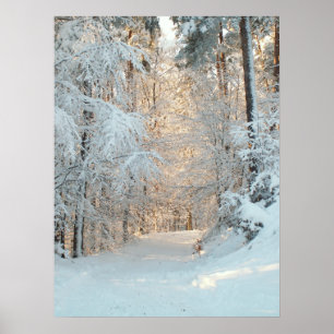 Winter Road Poster