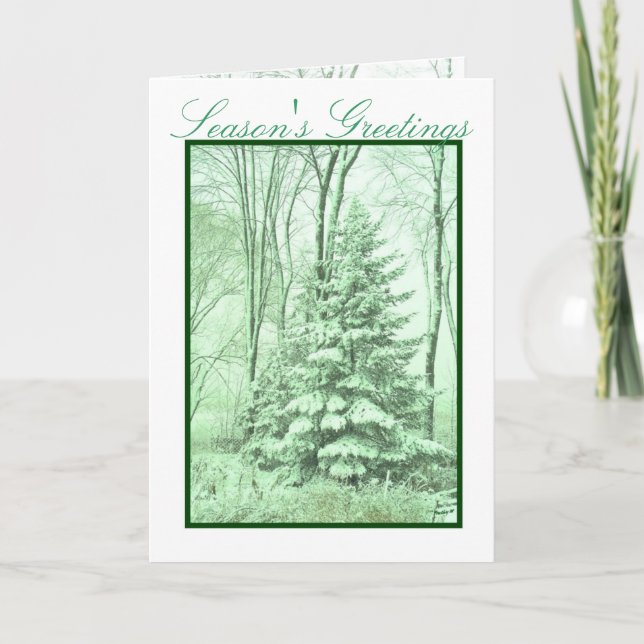 WINTER ROBES ~ Green Feiertagskarte (Vorderseite)