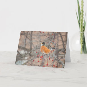 Winter Robin 1 Karte