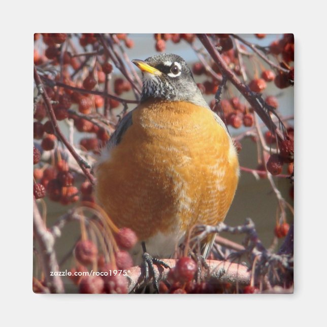 Winter Robin Magnet (Vorne)